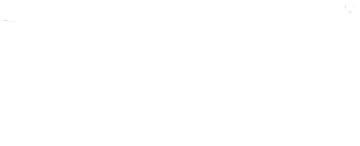 Optimum Nutrition Logo